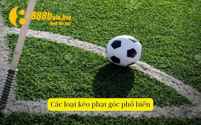 Các loại kèo phạt góc phổ biến