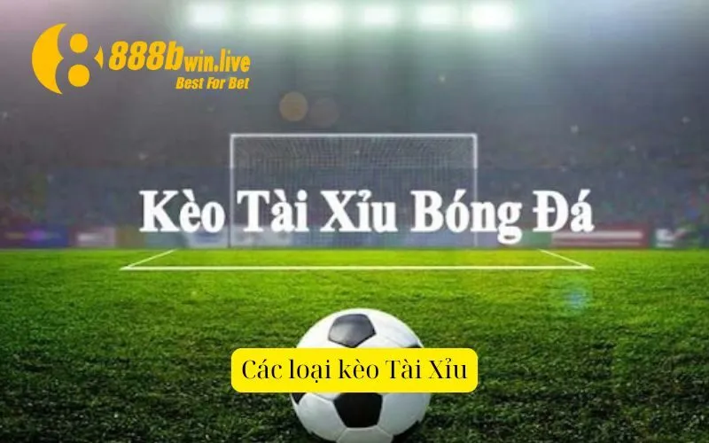 Các loại kèo Tài Xỉu