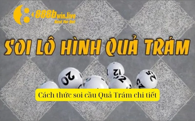 Cách thức soi cầu Quả Trám chi tiết