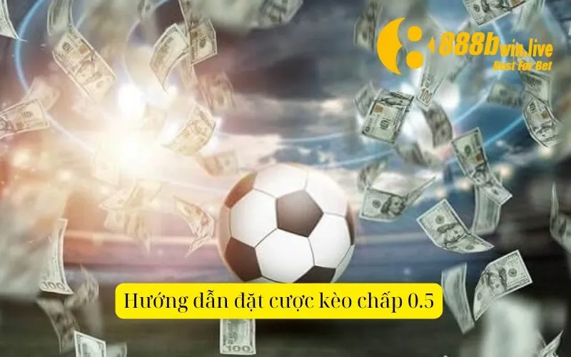 Hướng dẫn đặt cược kèo chấp 0.5