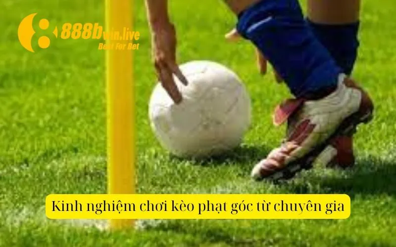 Kinh nghiệm chơi kèo phạt góc từ chuyên gia