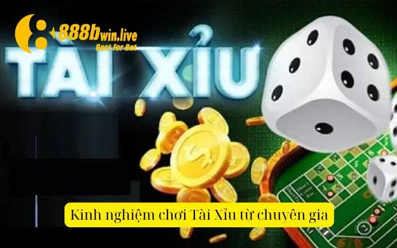 Kinh nghiệm chơi Tài Xỉu từ chuyên gia