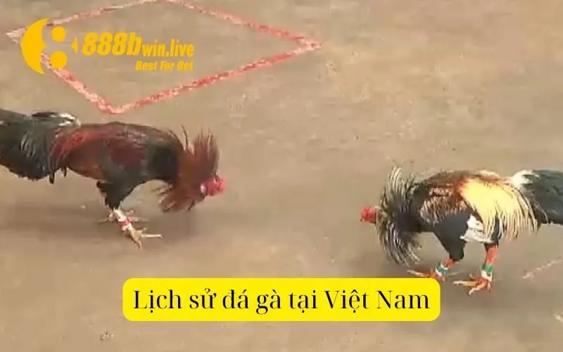 Lịch sử đá gà tại Việt Nam