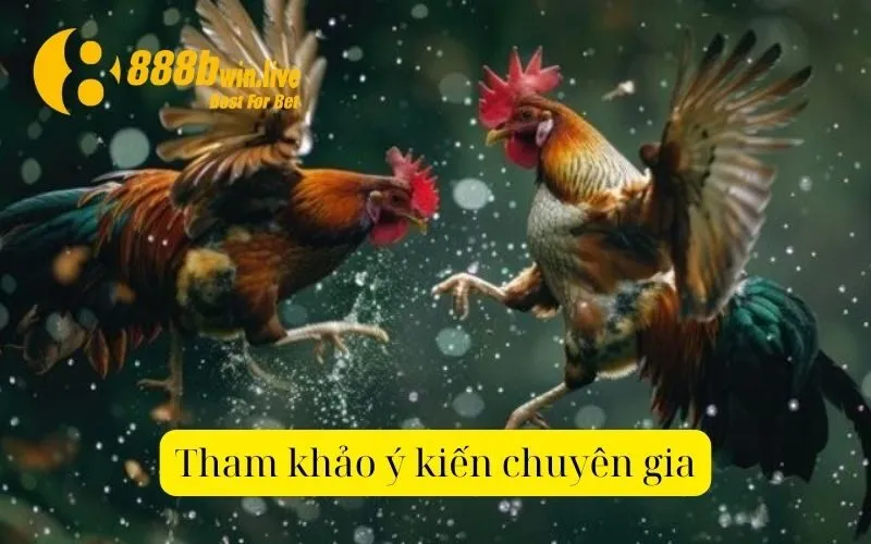 Tham khảo ý kiến chuyên gia